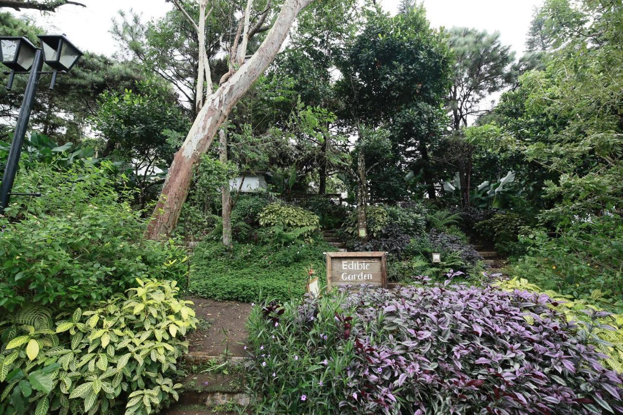 La Bella Boutique Hotel Tagaytay City Exterior photo